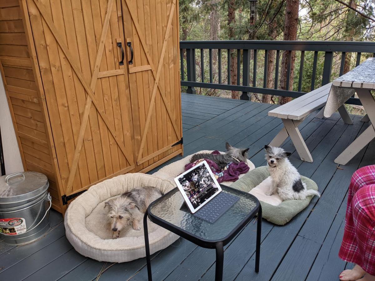 Breckenridge Chalet Near Yosemite. Dog Friendly! Groveland Kültér fotó